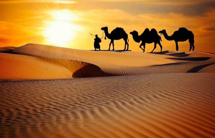 Desert Culture Rajasthan Holiday Trip Package