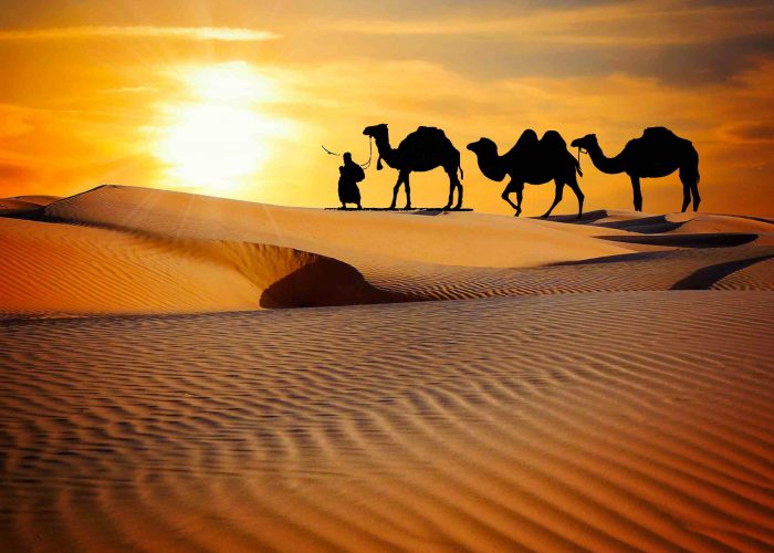 Desert Culture Rajasthan Holiday Trip Package